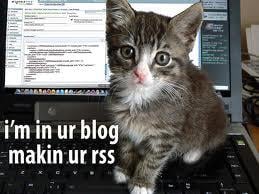 Blogging Cat Meme